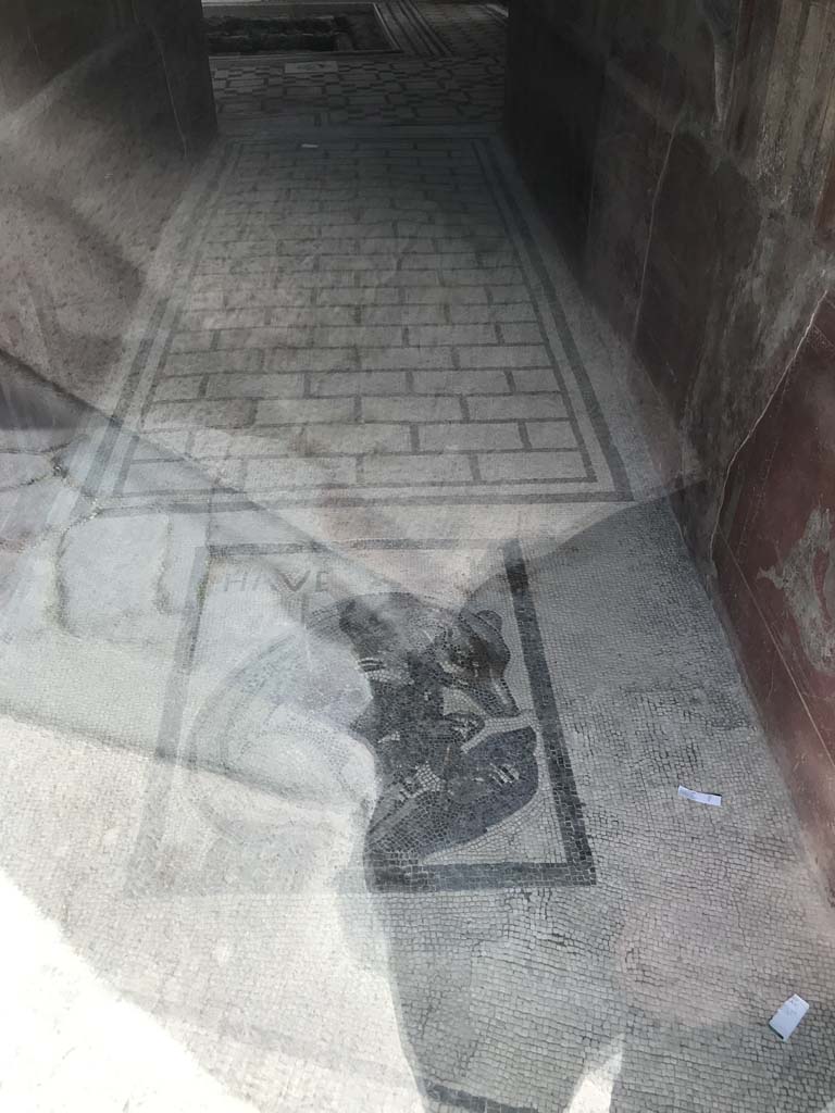 VII.2.45 Pompeii, April 2019. 
Looking north along entrance corridor with mosaic in vestibule, taken through glass screen. 
Photo courtesy of Rick Bauer.
