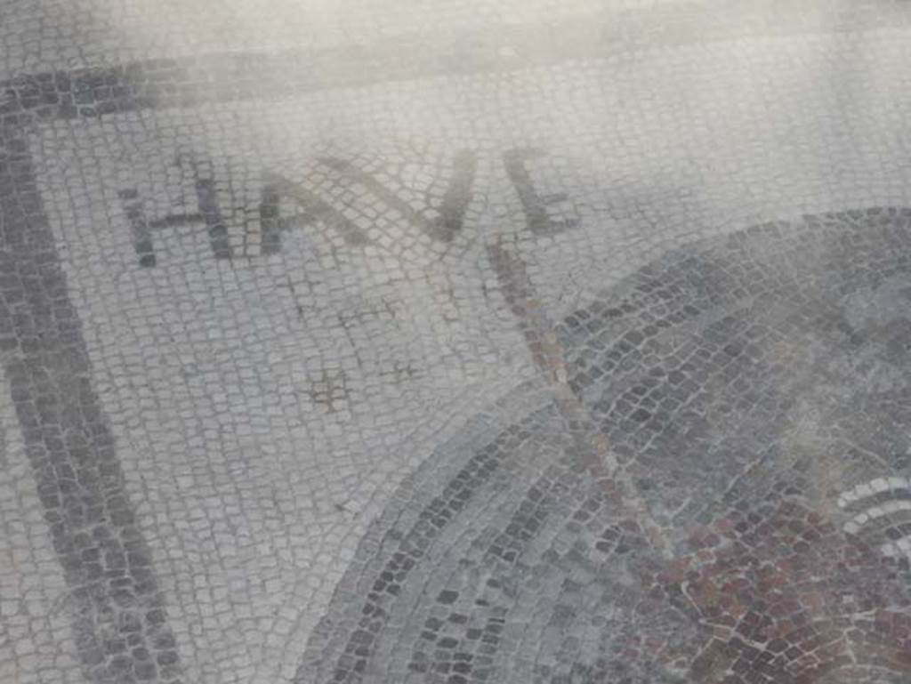 VII.2.45 Pompeii, May 2018. Mosaic in vestibule, detail. Photo courtesy of Buzz Ferebee.