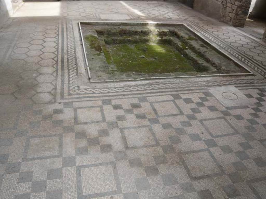 VII.2.45 Pompeii. May 2012. Mosaic floor and impluvium in atrium.
Photo courtesy of Buzz Ferebee.

