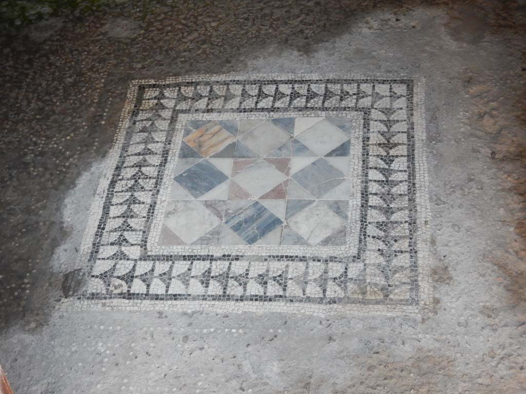 VII.2.45 Pompeii, June 2019.  Central emblema set in flooring of cubiculum. Photo courtesy of Buzz Ferebee.