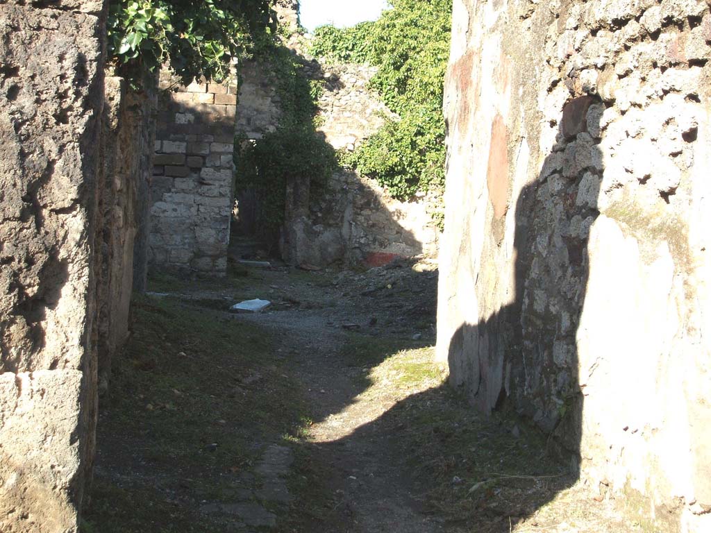 VII.2.48 Pompeii. December 2004. Looking north along entrance corridor across atrium to corridor at rear.