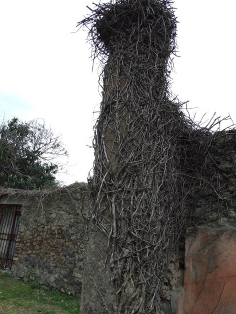 VII.3.11 Pompeii.  March 2009.  Second Tufa column in north wall of atrium.