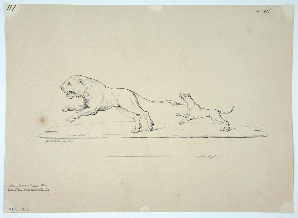 VII.3.21 Pompeii. Drawing by Giuseppe Abbate, May 1844, probably one of the hunting scenes.
Now in Naples Archaeological Museum. Inventory number ADS 1219.
Photo � ICCD. https://www.catalogo.beniculturali.it
Utilizzabili alle condizioni della licenza Attribuzione - Non commerciale - Condividi allo stesso modo 2.5 Italia (CC BY-NC-SA 2.5 IT)

