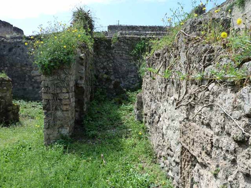 VII.3.23 Pompeii. May 2010.  Looking west towards garden, on the left, and rear corridor to kitchen, on the right, from the small atrium.
According to Liselotte Eschebach the small atrium had a sacellum and garden. See Eschebach, L., 1993. Geb�udeverzeichnis und Stadtplan der antiken Stadt Pompeji. K�ln: B�hlau. (p.269)
According to Boyce, on the wall of one of the rear rooms of VII.3.22/23, was a painting of two serpents confronted at an altar; in the background were plants and among them, at the time, was visible the tail of a third serpent, but the rest of the body had disappeared.  Below the painting was the graffito: LARES/PROPI/tiOS. (CIL IV 844).
See Boyce G. K., 1937. Corpus of the Lararia of Pompeii. Rome: MAAR 14. (p.65)
