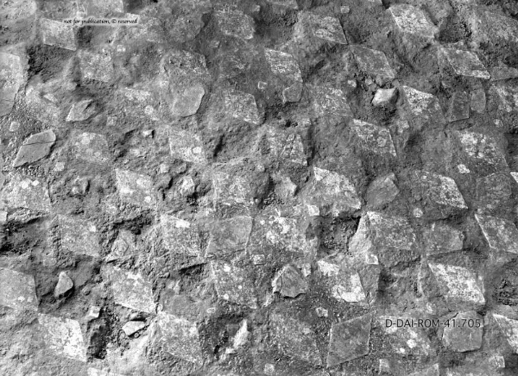 VII.3.29 Pompeii. c.1930. Room 10, cubiculum floor.
DAIR 41.705. Photo © Deutsches Archäologisches Institut, Abteilung Rom, Arkiv.
See Pernice, E.  1938. Pavimente und Figürliche Mosaiken: Die Hellenistische Kunst in Pompeji, Band VI. Berlin: de Gruyter, (described as from cubiculum “m”, see tav. 34,6, above.)
