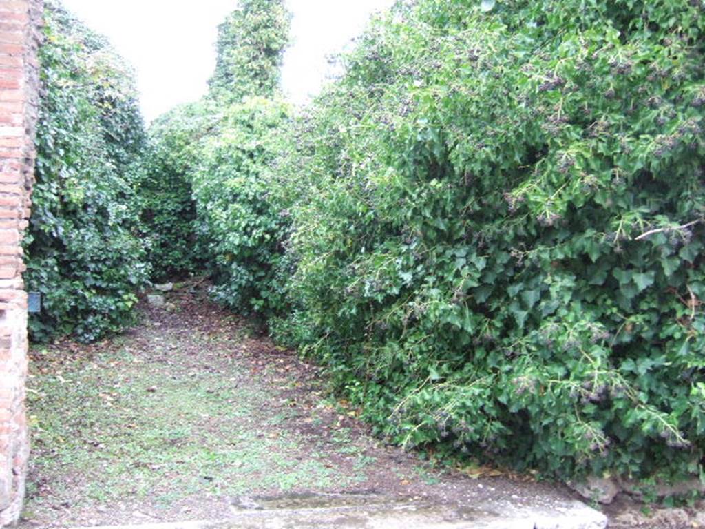 VII.4.28 Pompeii. December 2005. Looking north across shop.


