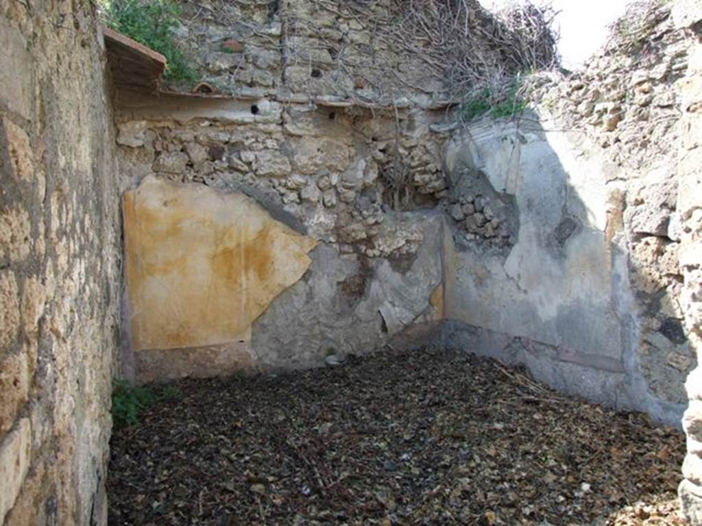 VII.4.29 Pompeii.  March 2009. Remains of painted plaster in room on north west side of small courtyard or garden.