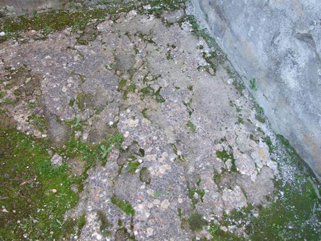 VII.4.31 Pompeii.  March 2009.  Room 35.  Remains of floor.