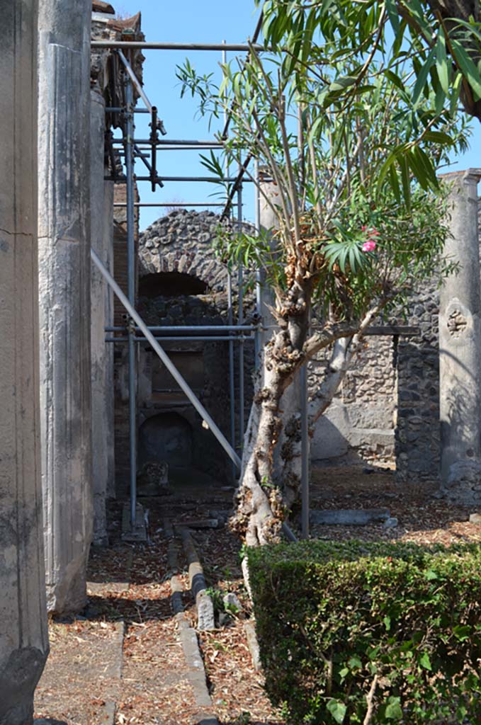 VII.4.31/51 Pompeii. September 2019. 
Looking west along gutter of north peristyle garden towards rooms 39 and 40.
Foto Annette Haug, ERC Grant 681269 D�COR.

