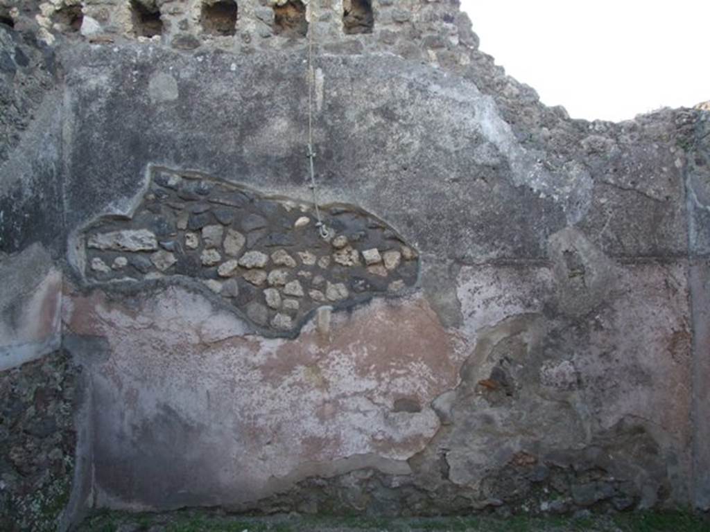 VII.4.31 Pompeii.  March 2009.  Room 44.  West wall.