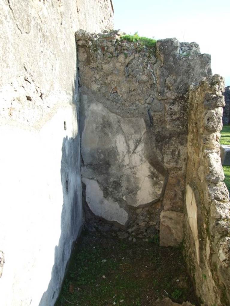 VII.4.31 Pompeii.  March 2009.  Room 45.  South wall.