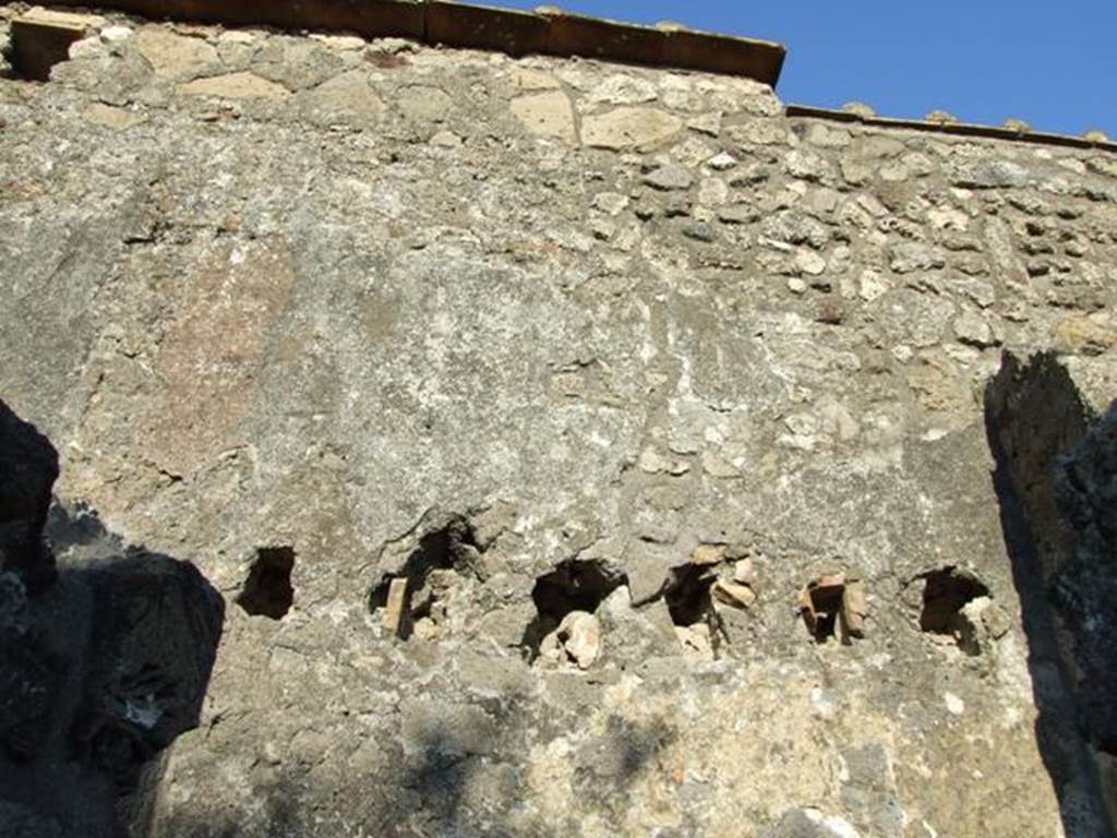 VII.4.31 Pompeii.  March 2009.  Room 46.  East wall.  