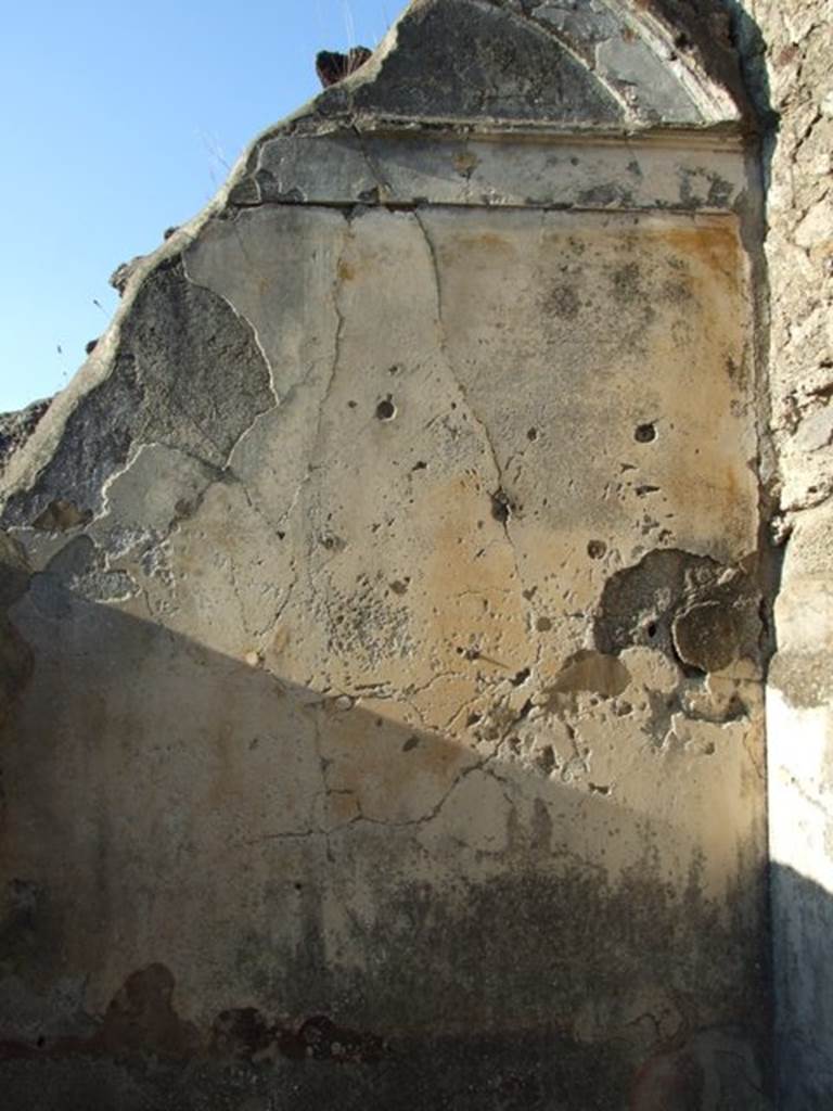 VII.4.31 Pompeii.  March 2009.  Room 48.  North wall.

