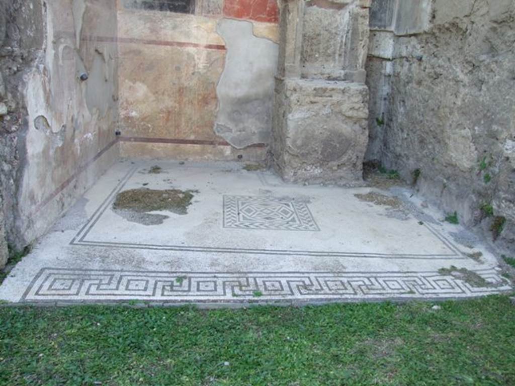 VII.4.31 Pompeii.  March 2009.  Room 6. Ala.  Mosaic floor.