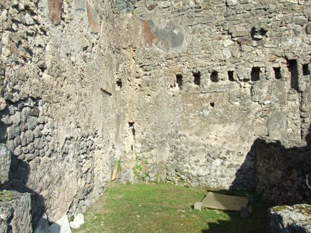 VII.4.31 Pompeii.  March 2009.  Room 8.  North and East wall.