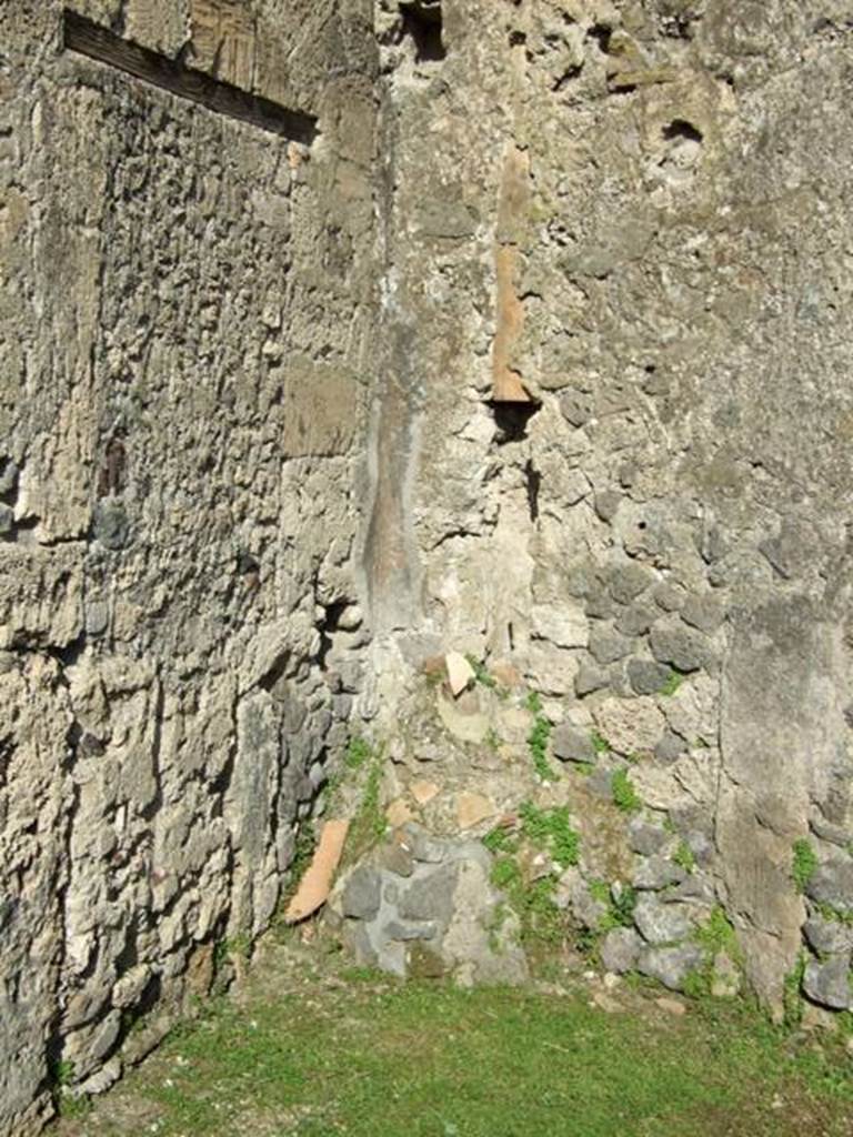 VII.4.31 Pompeii.  March 2009.  Room 8. Cubiculum.  North east corner with downpipe.

