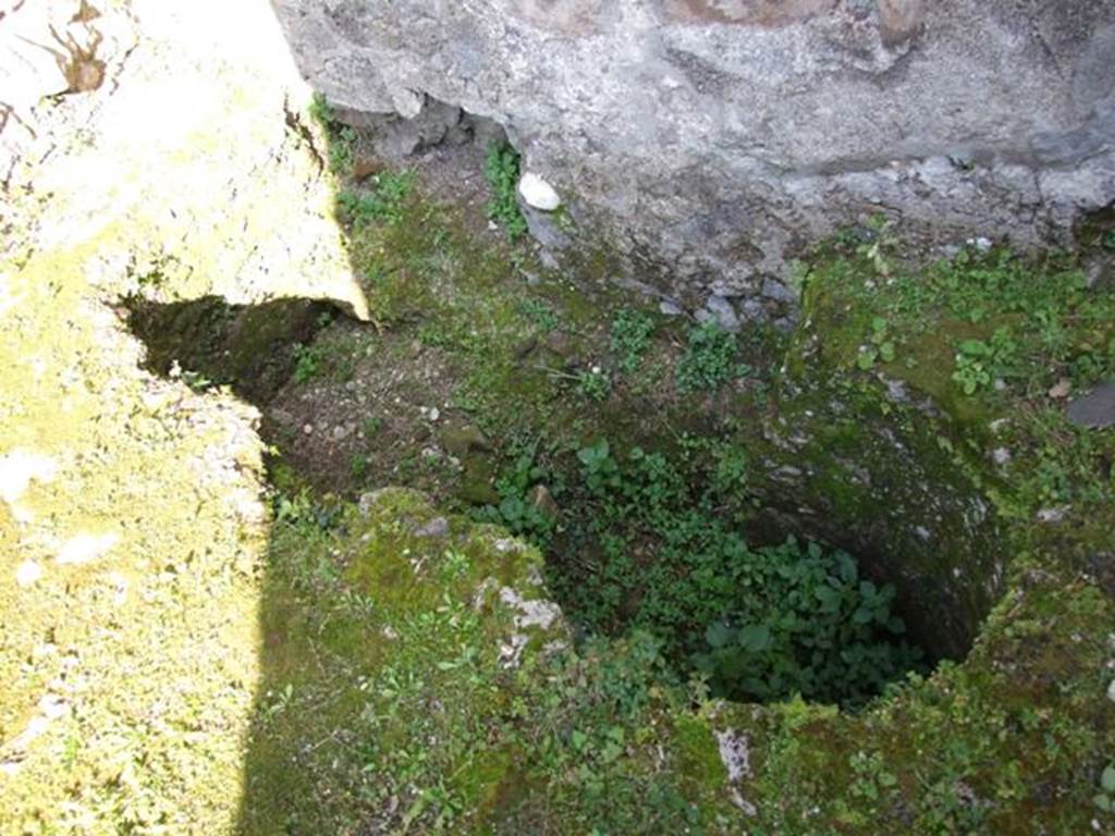 VII.4.31 Pompeii.  March 2009.  Room 9.  Cubiculum. Underneath floor near east wall and north-east corner.