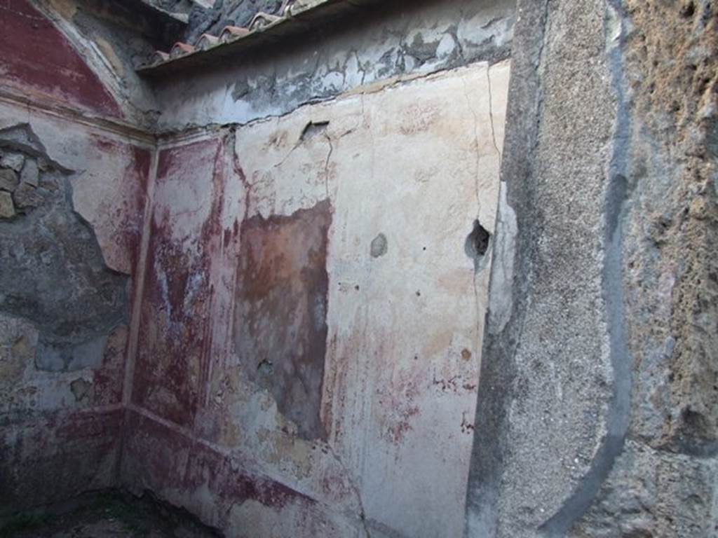 VII.4.31 Pompeii.  March 2009.  Room 16.  North wall.