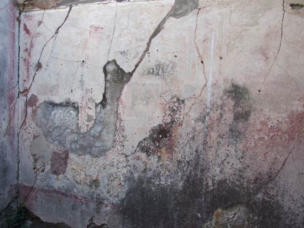 VII.4.31 Pompeii.  March 2009.  Room 16.  South wall.