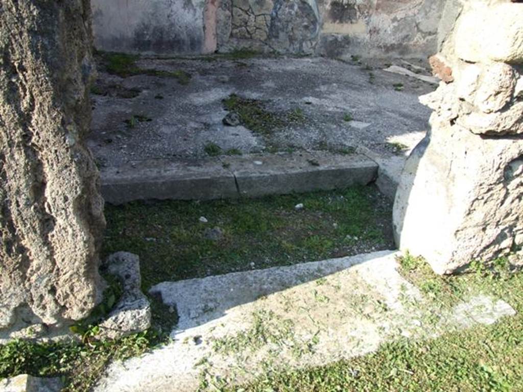 VII.4.31 Pompeii.  March 2009.  Room 24.  Step, inside the doorway.