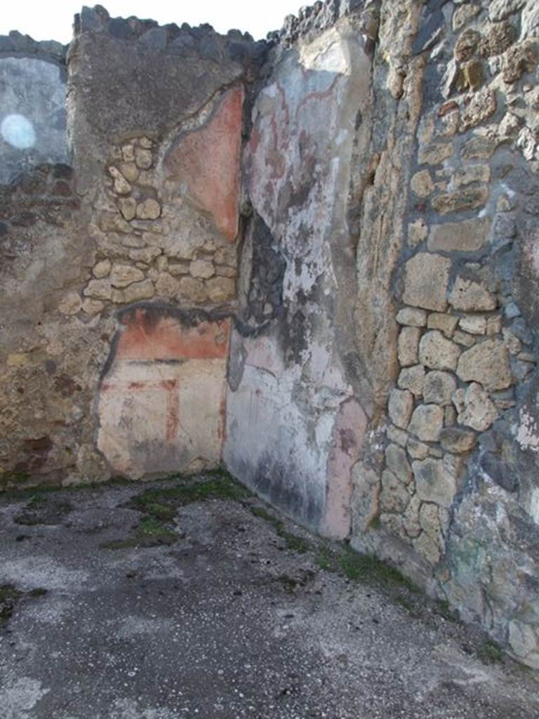 VII.4.31 Pompeii.  March 2009.  Room 24.  North wall.
