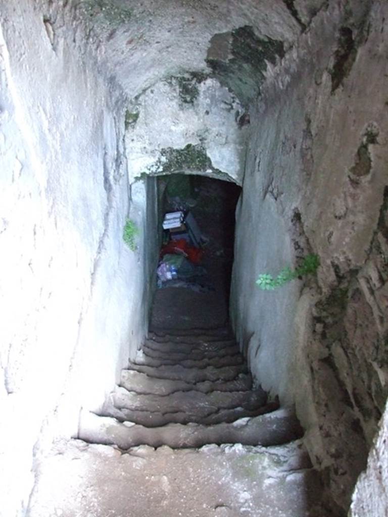 VII.4.31 Pompeii.  March 2009.  Room 27. Steps to Cellar.
