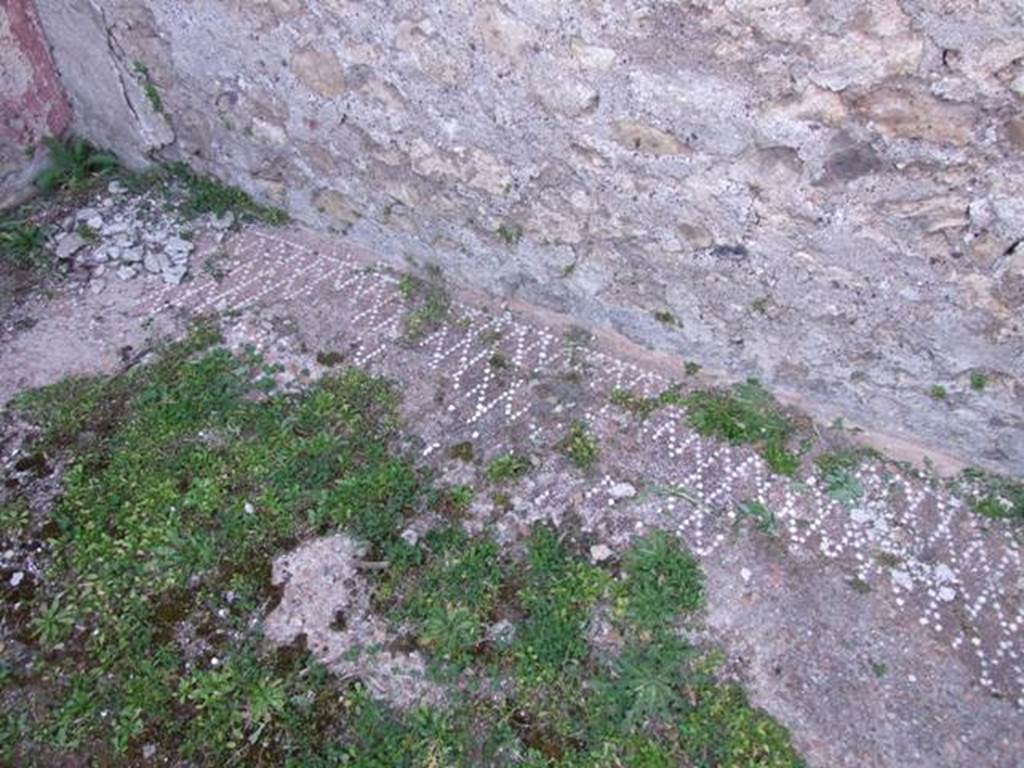 VII.4.31 Pompeii. March 2009. Room 4, decorated floor at base of north wall of cubiculum.