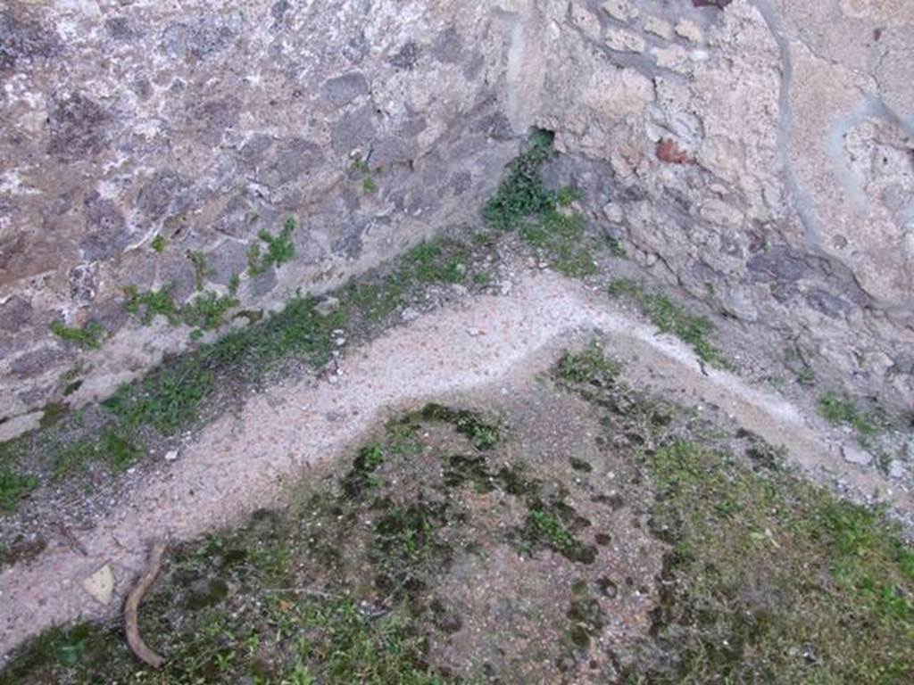 VII.4.31 Pompeii. March 2009. Room 5, remains of floor.