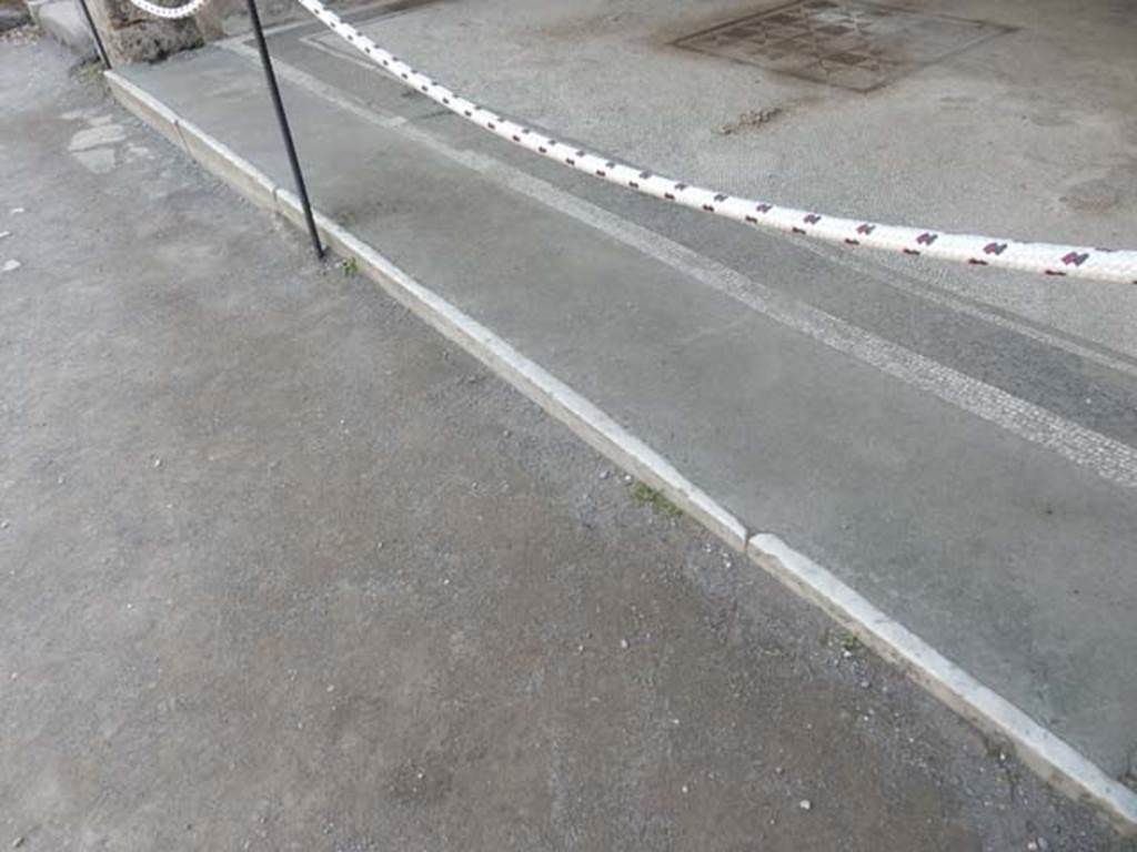 VII.4.48 Pompeii. May 2015. Room 11, detail of atrium and tablinum floor. 
Photo courtesy of Buzz Ferebee.

