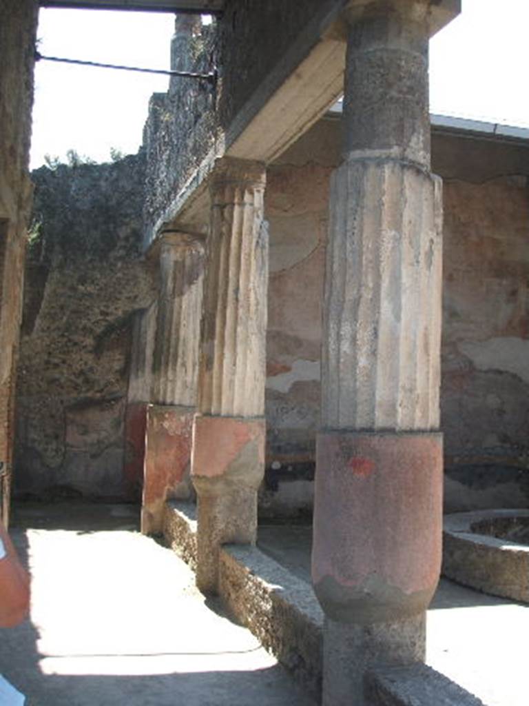 VII.4.48 Pompeii. May 2005. Peristyle. East side. Looking south.