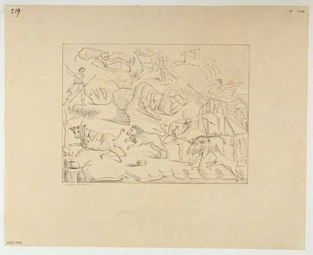 VII.4.48 Pompeii. Drawing by Serafino Mastracchio, of the hunt scene, now faded.
Now in Naples Archaeological Museum. Inventory number ADS 592.
Photo © ICCD. http://www.catalogo.beniculturali.it
Utilizzabili alle condizioni della licenza Attribuzione - Non commerciale - Condividi allo stesso modo 2.5 Italia (CC BY-NC-SA 2.5 IT)
See Helbig, W., 1868. Wandgemälde der vom Vesuv verschütteten Städte Campaniens. Leipzig: Breitkopf und Härtel, 1520.