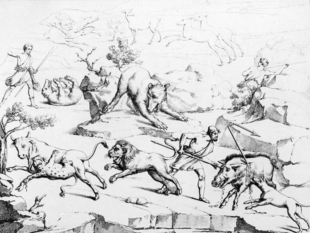 230536 Bestand-D-DAI-ROM-W.0023.jpg
VI.4.48 Pompeii. W.23. Drawing of hunt from south wall.See Real Museo Borbonico, XIII, 1843, tav 18.
Photo by Tatiana Warscher. With kind permission of DAI Rome, whose copyright it remains.
See http://arachne.uni-koeln.de/item/marbilderbestand/230536