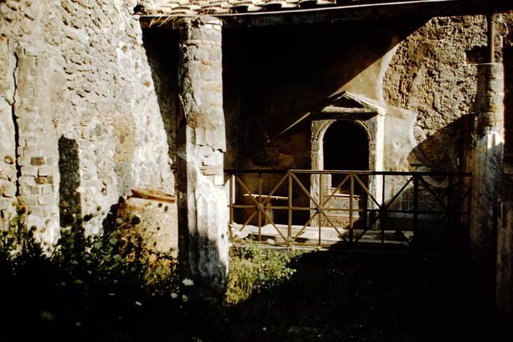 VII.4.56 Pompeii. 1959. Garden area, looking south from north portico. Photo by Stanley A. Jashemski.
Source: The Wilhelmina and Stanley A. Jashemski archive in the University of Maryland Library, Special Collections (See collection page) and made available under the Creative Commons Attribution-Non Commercial License v.4. See Licence and use details.
J59f0523