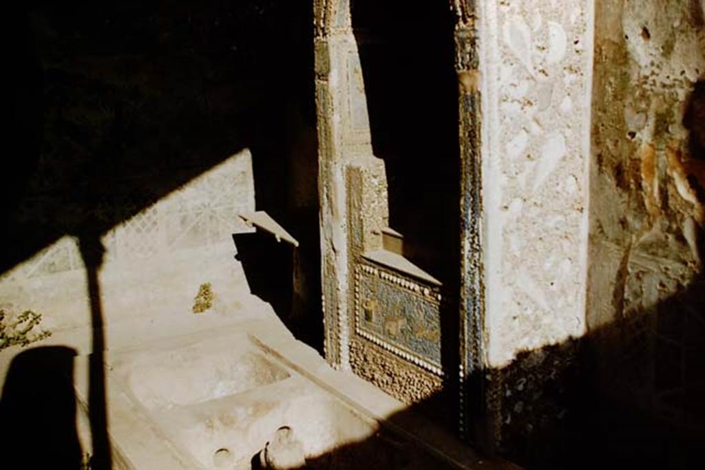 VII.4.56 Pompeii. 1959. Mosaic fountain and pool. Photo by Stanley A. Jashemski.
Source: The Wilhelmina and Stanley A. Jashemski archive in the University of Maryland Library, Special Collections (See collection page) and made available under the Creative Commons Attribution-Non Commercial License v.4. See Licence and use details.
J59f0521