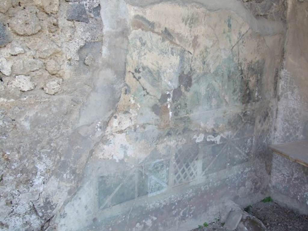 VII.4.56 Pompeii. March 2009. East wall of garden area, with remains of garden paintings.
