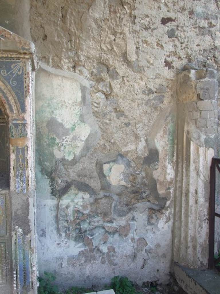 VII.4.56 Pompeii. March 2009. South wall of Garden area, west of Fountain. Remains of garden painting.