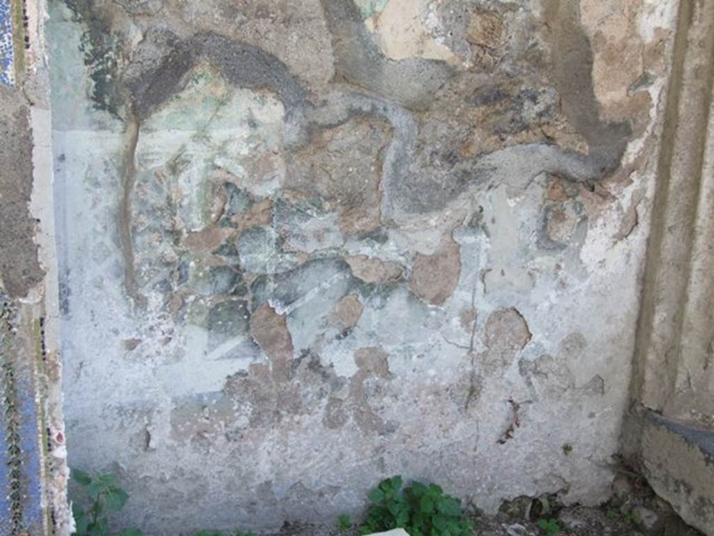 VII.4.56 Pompeii. March 2009. Remains of Garden painting on South wall of Garden area, west of Fountain.