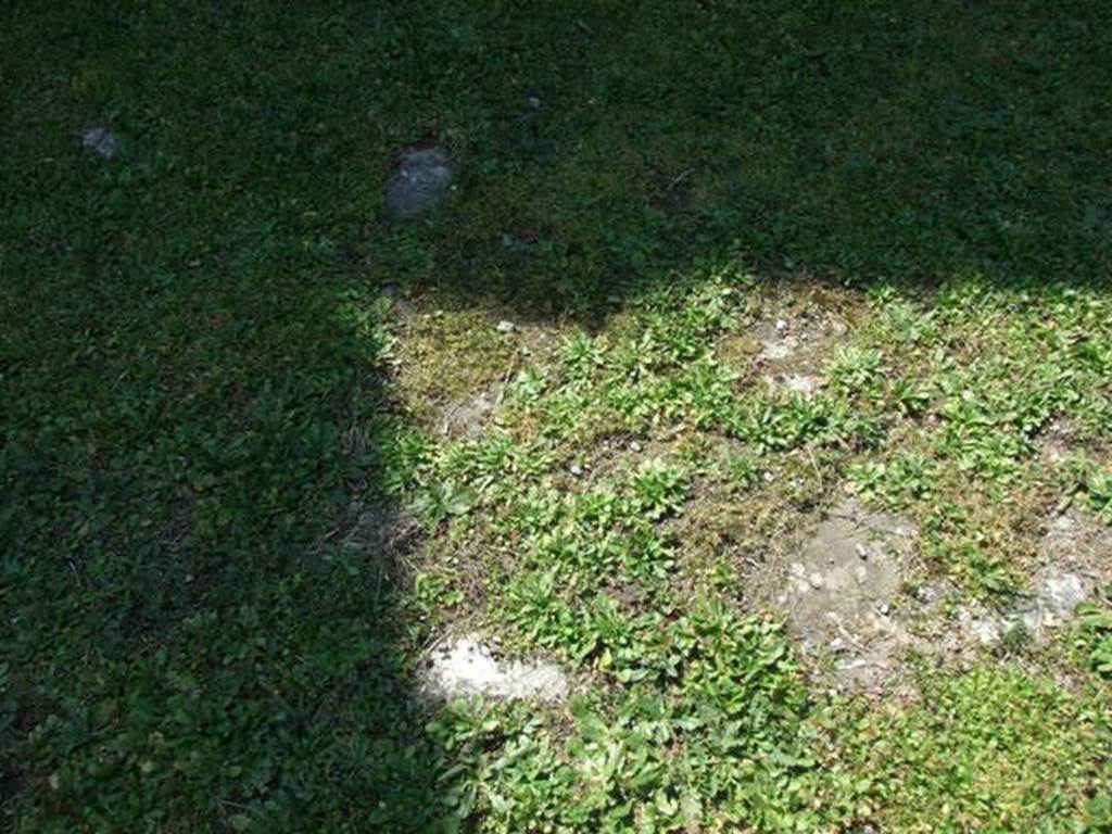 VII.4.57. Pompeii.  March 2009.  Room 7. Tablinum.  Remains of floor.