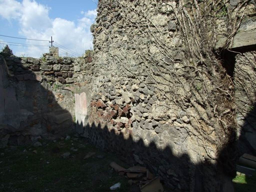VII.4.57. Pompeii.  March 2009.  Room 14.  Oecus.  East wall.
