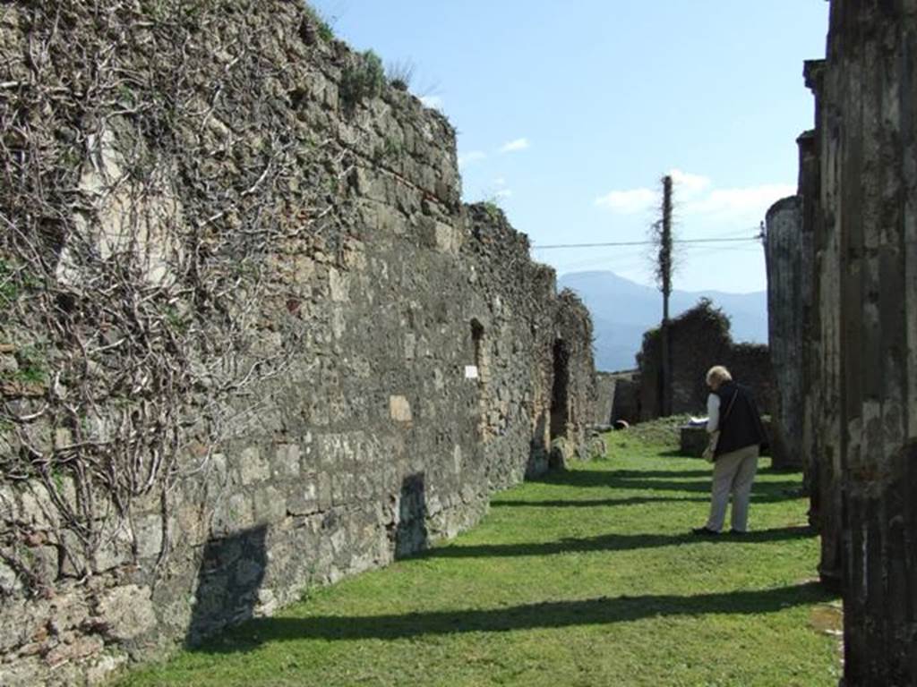 VII.4.57. Pompeii. March 2009. Looking south along East Portico.