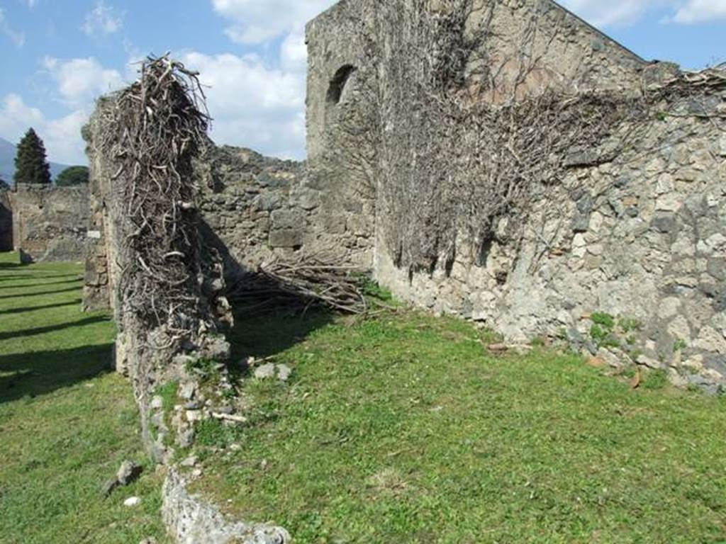 VII.4.57 Pompeii. March 2009. Site of Room 18, looking north-east into room 17. According to Jashemski, and Della Corte, at the time of the eruption the peristyle had been converted into an officina textrinum, or weaver’s workshop. Inscribed graffiti indicate the location of 3 looms under the portico, and record the names of the three servants or male weavers who attended them. According to Della Corte, their names were –
Texe(ntis) Erati locus (CIL IV 1570, 1571)
Tiburtinus (sic) locus (CIL IV 1569)
Crescentis locus (CIL IV 1572)
See Jashemski, W. F., 1993. The Gardens of Pompeii, Volume II: Appendices. New York: Caratzas. (p.181)
See Della Corte, M., 1965. Case ed Abitanti di Pompei. Napoli: Fausto Fiorentino. (p.124)
According to Epigraphik-Datenbank Clauss/Slaby (See www.manfredclauss.de), these read -
Tiburtinus locus (CIL IV 1569)
Texe(ntis) (CIL IV 1570
Erati locus (CIL IV 1571)
Crescentis locus (CIL IV 1572)