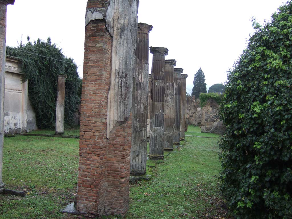 VII.4.57 Pompeii. December 2005. Looking north along the east portico.