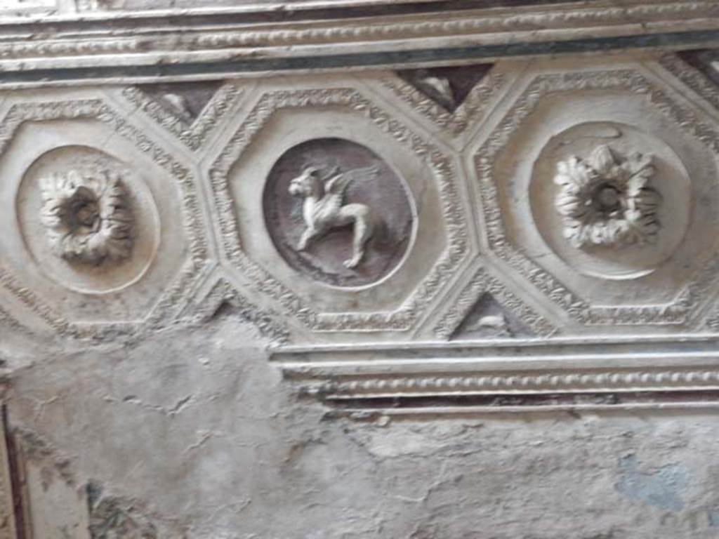 VII.5.24 Pompeii. May 2015. Detail from ceiling plaster stucco in south-west corner of tepidarium (37). Photo courtesy of Buzz Ferebee.

