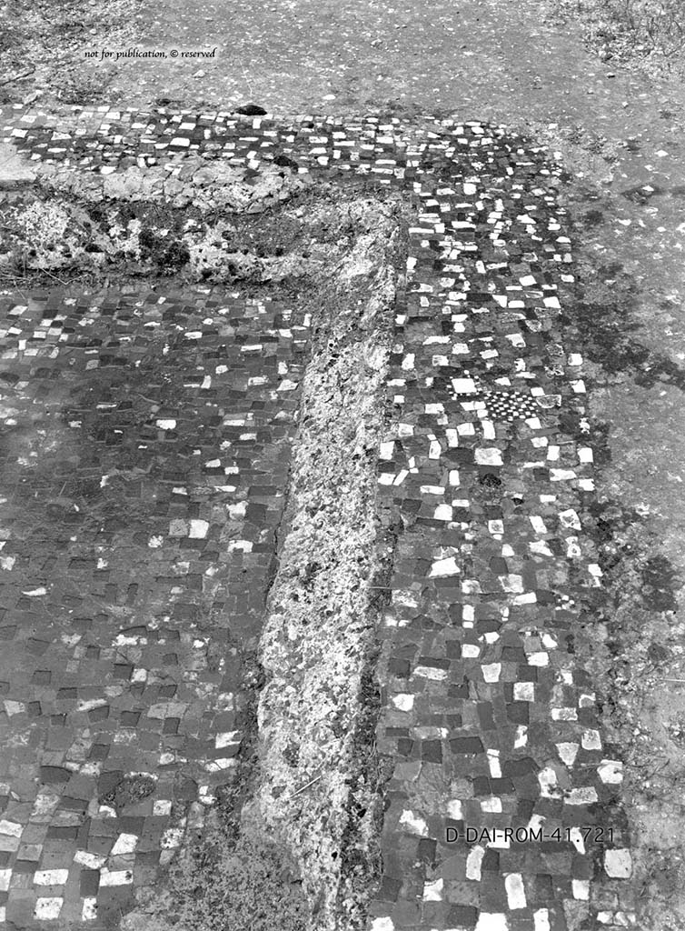 VII.6.10/11/16, Pompeii. c.1930. Flooring in atrium and side of impluvium. 
DAIR 41.721. Photo � Deutsches Arch�ologisches Institut, Abteilung Rom, Arkiv.
See Pernice, E.  1938. Pavimente und Fig�rliche Mosaiken: Die Hellenistische Kunst in Pompeji, Band VI. Berlin: de Gruyter, (p. 84-5, and Taf. 38,2 above). 
According to PPM,
�Particularly interesting was the flooring of the atrium (61) in lava and mortar wrought with flakes of green, red, yellow and white limestone, and the masonry impluvium covered in cocciopesto with a moulded edge that Pernice thought was very elegant. Seen in the cocciopesto border and the base were black, gray, yellow, pink, green, and white flakes, roughly square in shape, with a disposition not entirely regular.�
(Particolarmente interessante era la pavimentazione dell�atrio (61) in battuto di lava e malta con scaglie di calcare verde, rosso, giallo e bianco, e l�impluvio in muratura rivestito di cocciopesto con un bordo dal profilo modanato che colpi Pernice per la sua eleganza. I bordi e il fondo presentavano allettate nel cocciopesto, scaglie nere, grigie, gialle, rosa, verdi, bianche, di forma all�incirca quadrangolare, con disposizione non del tutto regolare). 
See PPM VII. 7, (p.180)
