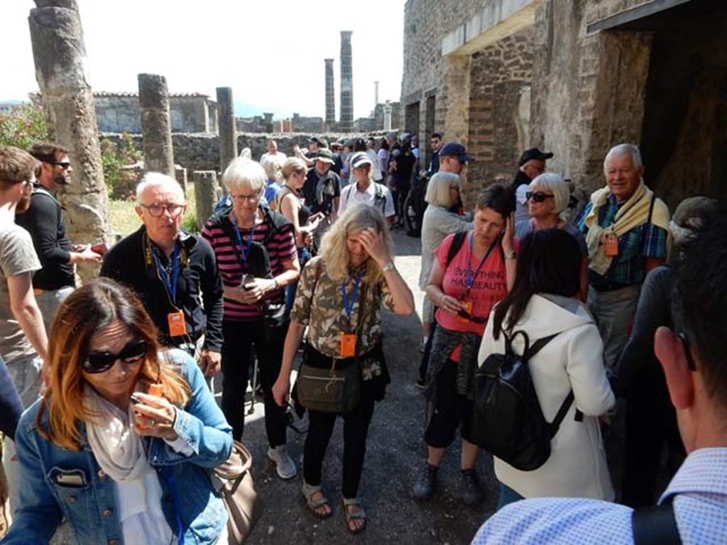 VII.7.2/5 Pompeii, May 2018. 
Looking east along crowded south portico “m”, with just some of the three million tourists a year. Photo courtesy of Buzz Ferebee.
Oecus “n” and corridor “l” (L) are the two doorways at the east end of south portico “m”.

Oecus “n” and oecus “q” are the two doorways at the east end of south portico “m”.


