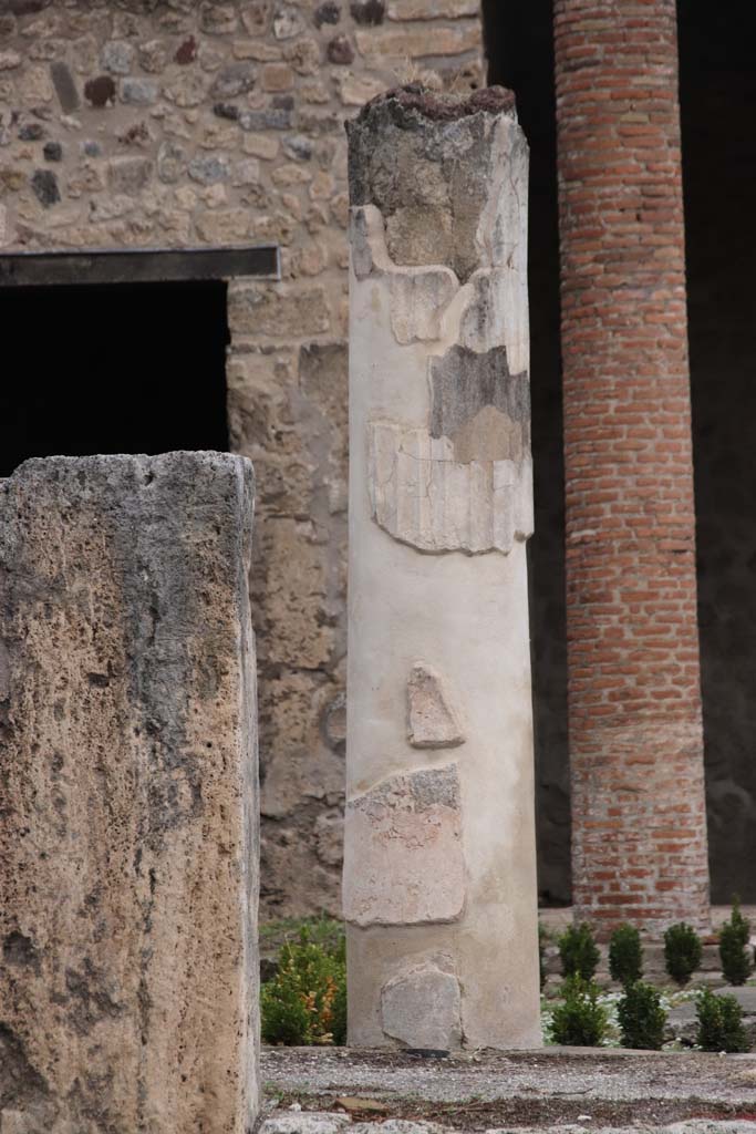 VII.7.5 Pompeii. October 2020. Looking north towards columns on west side of peristyle(l).
Photo courtesy of Klaus Heese.
