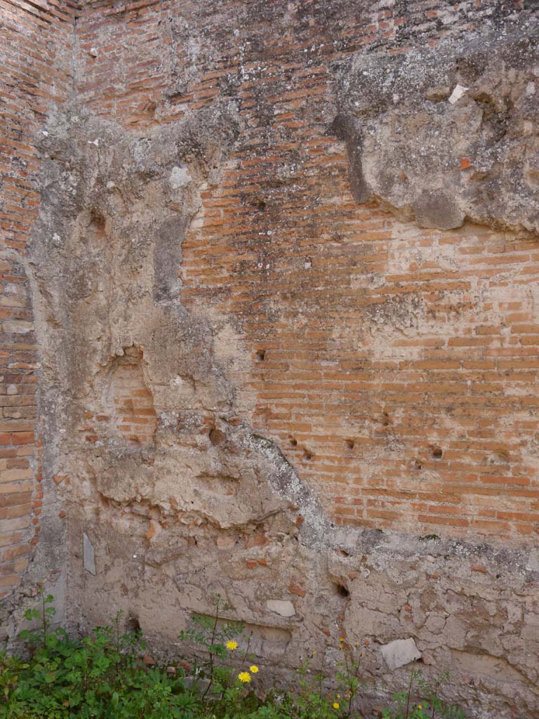 VII.9.2 Pompeii. March 2019. East end of south wall of cella.
Foto Anne Kleineberg, ERC Grant 681269 DÉCOR.

