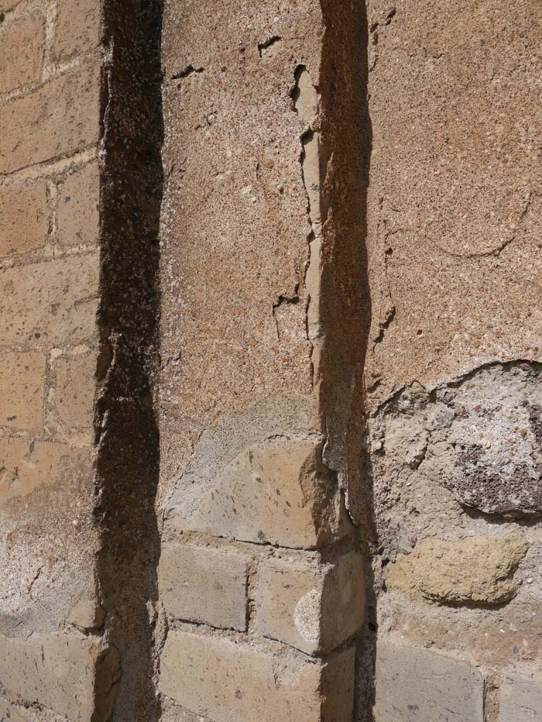 VII.9.2 Pompeii. March 2019. Detail of pillar along north wall towards centre.
Foto Anne Kleineberg, ERC Grant 681269 DÉCOR.
