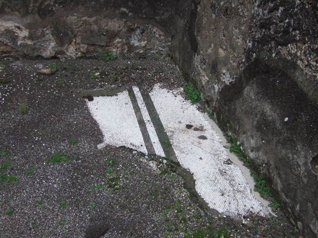 VII.10.5 Pompeii. December 2005. Remains of mosaic floor in exedra.