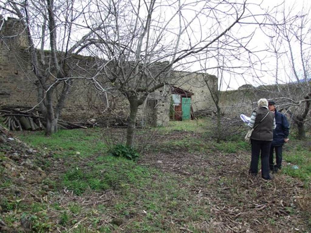 VII.11.14 Pompeii.  March 2009. Garden “C”, Looking East .